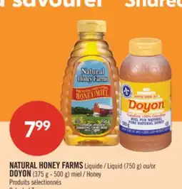 Pharmaprix NATURAL HONEY FARMS Liquid (750 g) or DOYON (375 g - 500 g) Honey offer