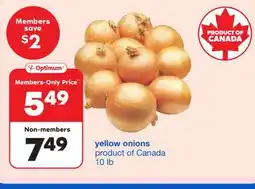 Wholesale Club YELLOW ONIONS, 10 lb offer