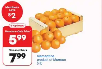 Wholesale Club CLEMENTINE, 5 lb offer