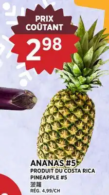 Kim Phat PINEAPPLE #5 offer