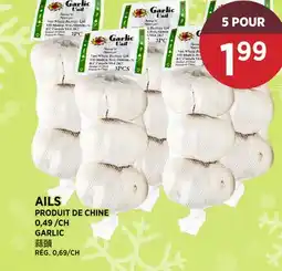 Kim Phat GARLIC offer