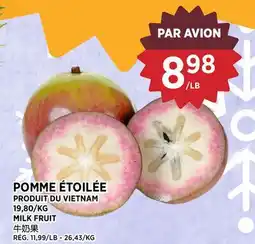 Kim Phat MILK FRUIT offer