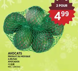 Kim Phat AVOCADOS offer