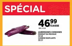 Kim Phat CHINESE EGGPLANTS offer