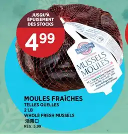 Kim Phat WHOLE FRESH MUSSELS offer