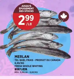 Kim Phat FRESH WHOLE WHITING offer