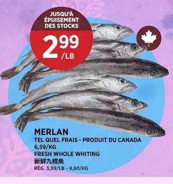 Kim Phat FRESH WHOLE WHITING offer