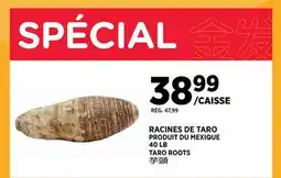 Kim Phat TARO ROOTS offer