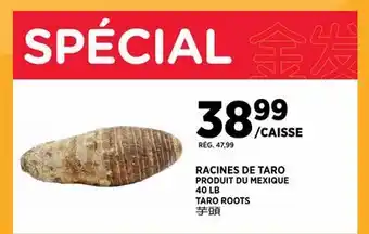 Kim Phat TARO ROOTS offer