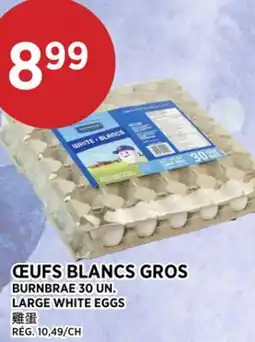 Kim Phat BURNBRAE LARGE WHITE EGGS offer