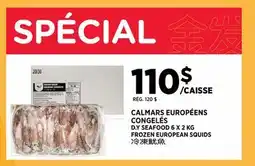 Kim Phat D.Y SEAFOOD FROZEN EUROPEAN SQUIDS offer