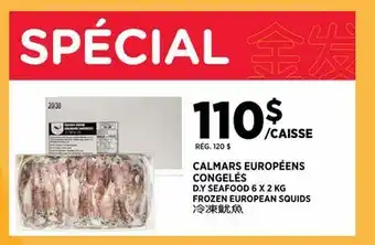 Kim Phat D.Y SEAFOOD FROZEN EUROPEAN SQUIDS offer