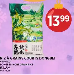 Kim Phat VTG DONGBEI SHORT GRAIN RICE offer
