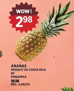 Kim Phat PINEAPPLE offer