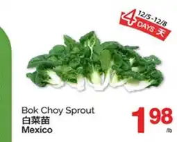 T&T Supermarket BOK CHOY SPROUT offer