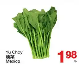 T&T Supermarket YU CHOY offer