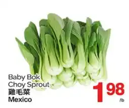 T&T Supermarket BABY BOK CHOY SPROUT offer