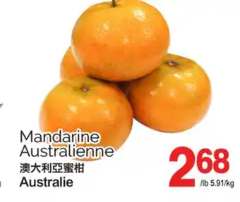 T&T Supermarket MANDARINE AUSTRALIENNE offer