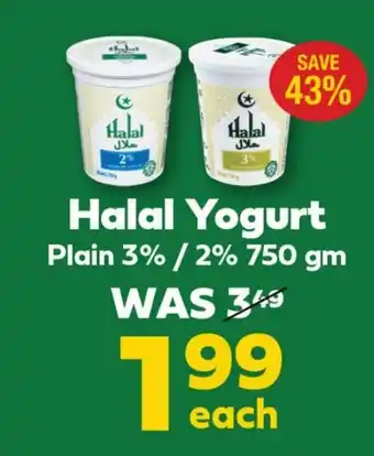 Halal Yogurt Plain