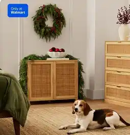 Walmart Anko Fraser rattan cabinet with doors offer