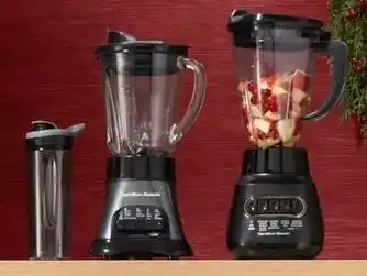 Hamilton Beach MultiBlend or Wave Crusher blender