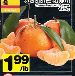 Supermarché PA CLÉMENTINES AVEC FEUILLES | Clementines with Leaves offer