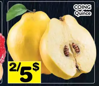 Supermarché PA COING | Quince offer
