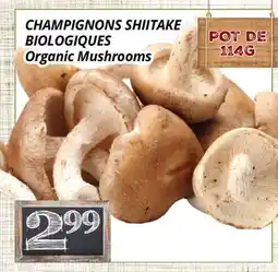 Supermarché PA CHAMPIGNONS SHIITAKE BIOLOGIQUES | Organic Mushrooms offer