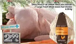 Supermarché PA GROS POULET DE GRAIN FRAIS VOLTIGEURS | Large Fresh Whole Grain Fed Chicken offer