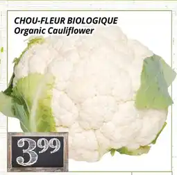 Supermarché PA CHOU-FLEUR BIOLOGIQUE | Organic Cauliflower offer