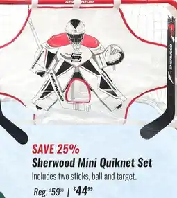 Hockey Life SHERWOOD MINI QUIKNET SET offer