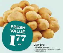 Giant Tiger 10 lb white or Russet potatoes offer