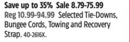 Canadian Tire MotoMaster Selected Tie-Downs, Bungee Cords, Towing and Recovery Strap offer