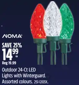 Canadian Tire Noma Outdoor 24-Ct LED Lights with Winterguard offer