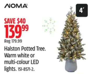 Canadian Tire NOMA Halston Potted Tree offer