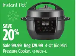 Canadian Tire Mini Pressure Cooker offer