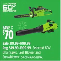 Canadian Tire Greenworks Selected 60V Chainsaws, Leaf Blower and Snowblower offer