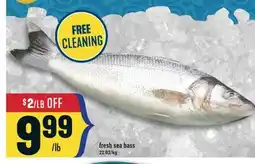 Marché Adonis Fresh sea bass offer