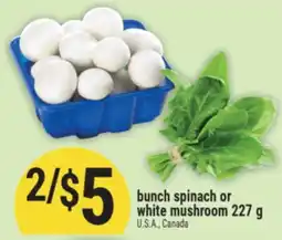 Marché Adonis Bunch spinach or white mushroom offer