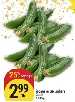 Marché Adonis Lebanese cucumbers offer