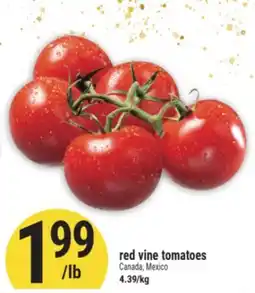 Marché Adonis red vine tomatoes offer