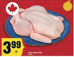Marché Adonis Whole chicken Halal offer