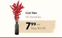 Marche Leo's Cut Ilex offer