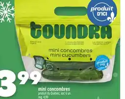 Marche Ami MINI CONCOMBRES offer