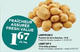 Giant Tiger 10 lb white potatoes offer
