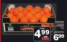 Marches Tradition CLÉMENTINES offer