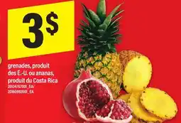 Maxi GRENADES, PRODUIT DES É.-U. OU ANANAS offer