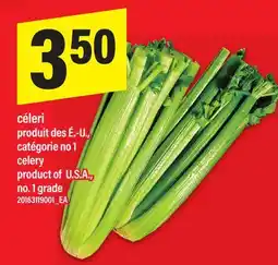 Maxi CÉLERI | CELERY offer