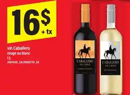 Maxi VIN CABALLERO ROUGE OU BLANC, 1 L offer
