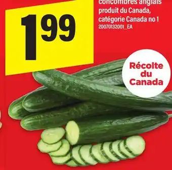 Maxi CONCOMBRES ANGLAIS offer